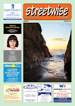 Cover page of Streetwise Magazine in Spain, issue 2022 07 no. 292 with link