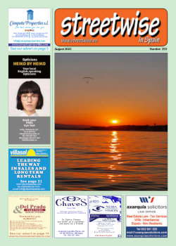 Cover page of Streetwise Magazine in Spain, issue 2022 08 no. 293 with link