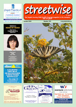 Cover page of Streetwise Magazine in Spain, issue 2022 10 no. 295 with link
