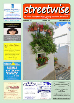 Cover page of Streetwise Magazine in Spain, issue 2023 09 no. 306 with link