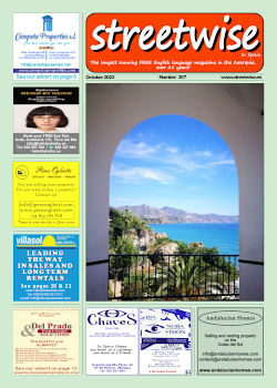 Cover page of Streetwise Magazine in Spain, issue 2023 10 no. 307 with link