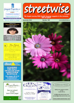 Cover page of Streetwise Magazine in Spain, issue 2023 11 no. 308 with link