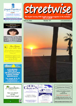 Cover page of Streetwise Magazine in Spain, issue 2024 02 no. 311 with link