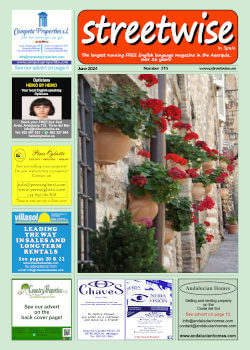 Cover page of Streetwise Magazine in Spain, issue 2024 06 no. 315 with link