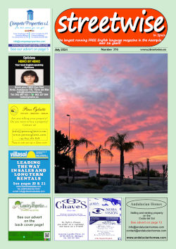 Cover page of Streetwise Magazine in Spain, issue 2024 07 no. 316 with link