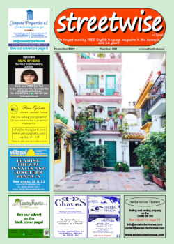 Cover page of Streetwise Magazine in Spain, issue 2024 11 no. 320 with link