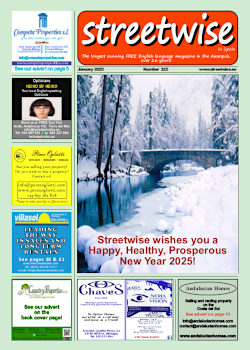 Cover page of Streetwise Magazine in Spain, issue 2025 01 no. 322 with link